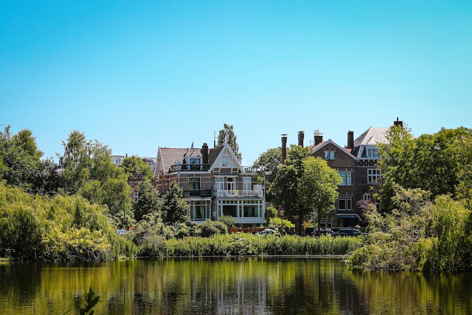 A clear outdoor scene showing a calm body of water, likely a pond or small lake, surrounded by grass and leafless trees indicative of late autumn or winter. In the background, there are residential buildings and modern apartments partially obscured by the trees, situated on a gentle slope. The foreground features a grassy bank leading to the water's edge, with no visible moving activity or furniture present. The sky is bright with a few wispy clouds, and the lighting suggests daytime. This scene exemplifies a peaceful residential area potentially serviced by Holland Park Man and Van for home relocation and furniture transport during moves, with natural surroundings enhancing the clarity of the environment.