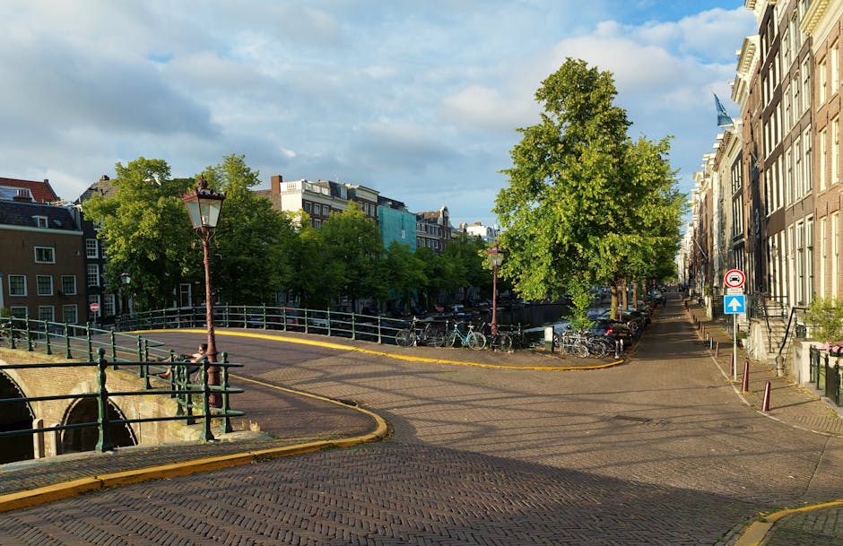 A peaceful residential area with a small pond reflecting the surrounding leafless trees and a row of brick houses in the background under a clear blue sky. In the foreground, a paved pathway leads towards the houses, with some grass and rocks alongside the water. The scene is illuminated by natural daylight, suggesting a calm, early spring or late autumn day. This setting portrays a typical neighbourhood environment where house removals and furniture transport may take place, with no visible moving activity or equipment present, focusing solely on the scenic landscape that could be part of a home relocation context.