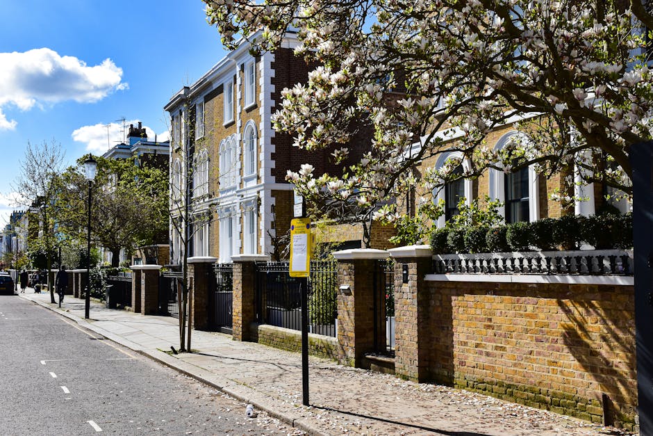 The image depicts a residential street scene during daytime with a row of Victorian-style brick houses featuring white window frames and decorative architectural details. In the foreground, a blooming cherry or plum tree with white flowers partially obstructs the view. The pavement is lined with several young, leafless trees planted alongside traditional black metal street lamps. A yellow bus stop sign is mounted on a pole near the sidewalk. The street appears calm with minimal traffic, and the sky is clear with a few scattered clouds. This setting showcases a well-maintained neighbourhood which could be typical for house removals or relocation services, such as those offered by Holland Park Man and Van, especially when planning a move to or from Ilchester Place. The overall scene emphasizes the types of environments suitable for home relocation involving furniture, boxes, and appliances, with an emphasis on residential logistics.