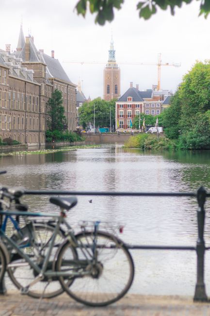 A view of a river with calm water reflecting the surrounding buildings and greenery in an urban area, possibly in Holland Park. On the left side, there are historic brick buildings with detailed facades, and on the right, there are trees and bushes along the riverbank. In the background, a church tower with a clock and spire rises above other buildings, with construction cranes visible nearby, indicating ongoing development. In the foreground, a metal railing runs along the walkway, with two bicycles secured to it using a lock, positioned on the pavement. The scene is illuminated by natural daylight, highlighting the mix of old architecture, natural elements, and urban activity. This setting is typical for a location where house removals could take place, with visible elements like bikes and the river suggesting a peaceful neighborhood environment. Holland Park Man and Van's removals service can support quick and efficient home relocation in this area, including furniture transport and packing processes involving such surroundings.